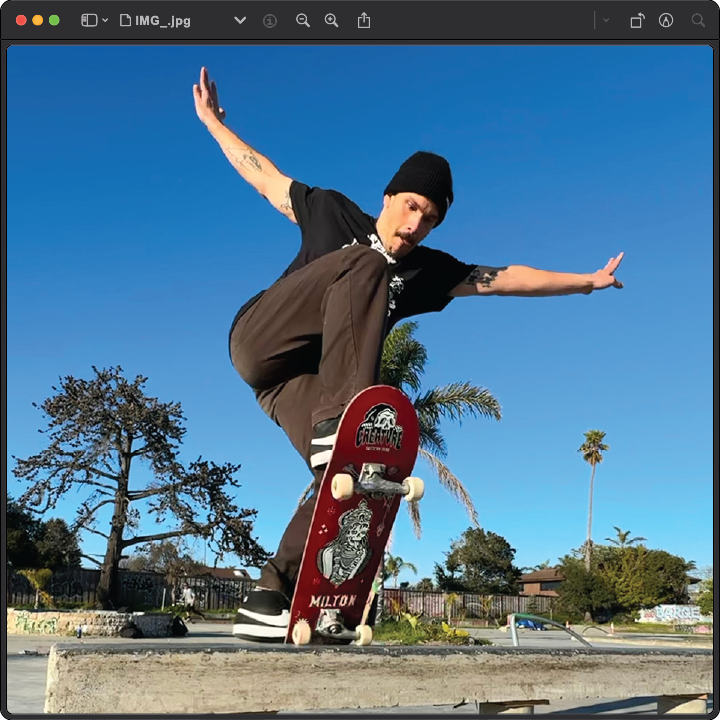 Ted Cocuzza skateboarding on a concrete ledge with trees and clear blue sky in the background