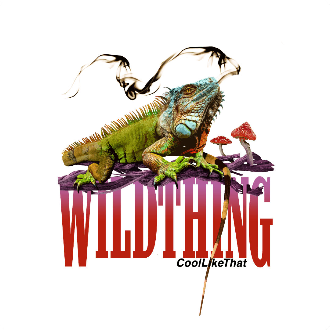 Wild Thing - Z_DROPPED