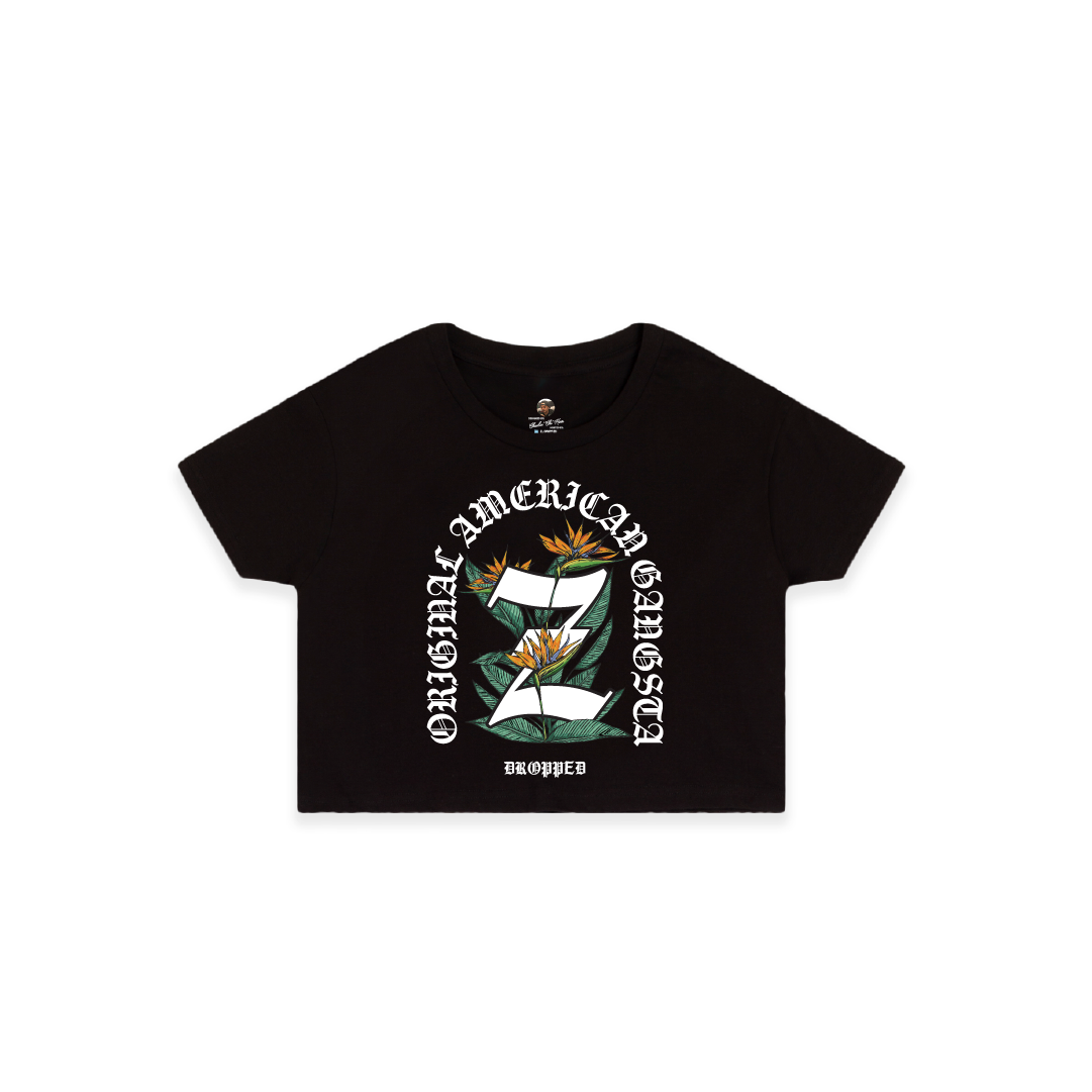 Z_OG Crop Top.